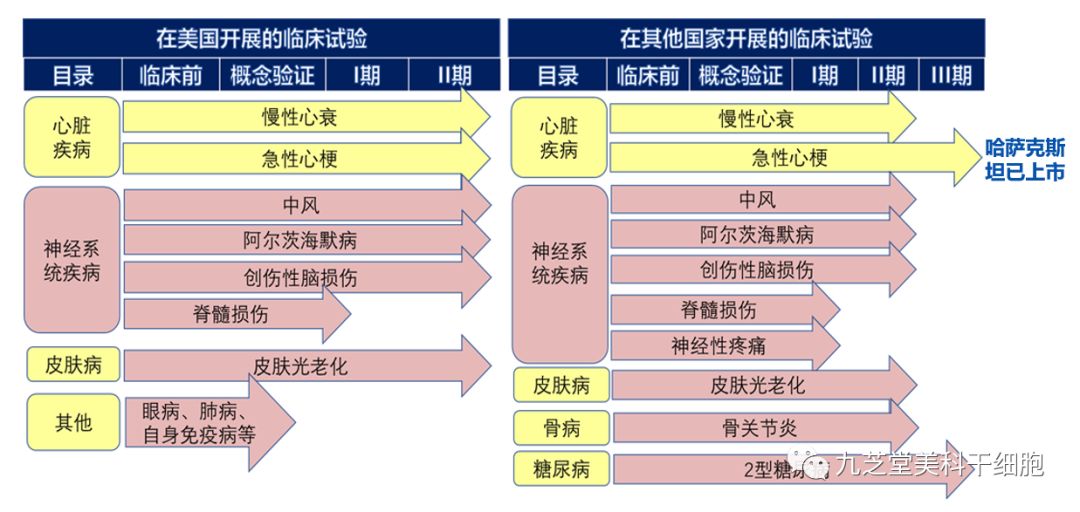 全球脊髓损伤最新进展，治疗与康复的希望之光