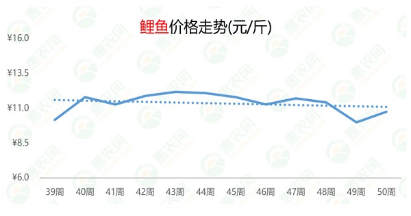 2025年1月10日